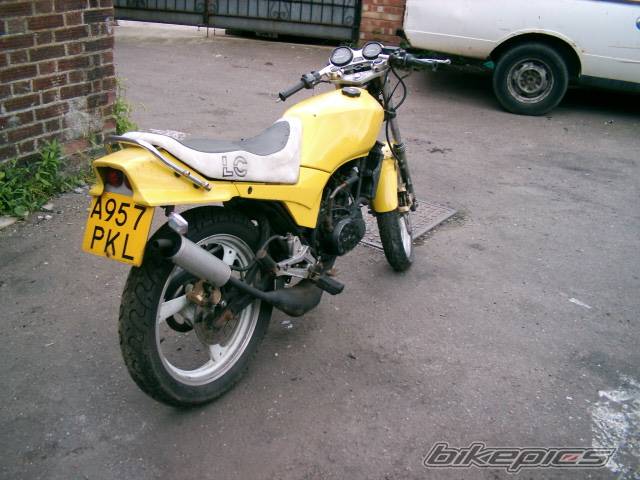 Photo 209653