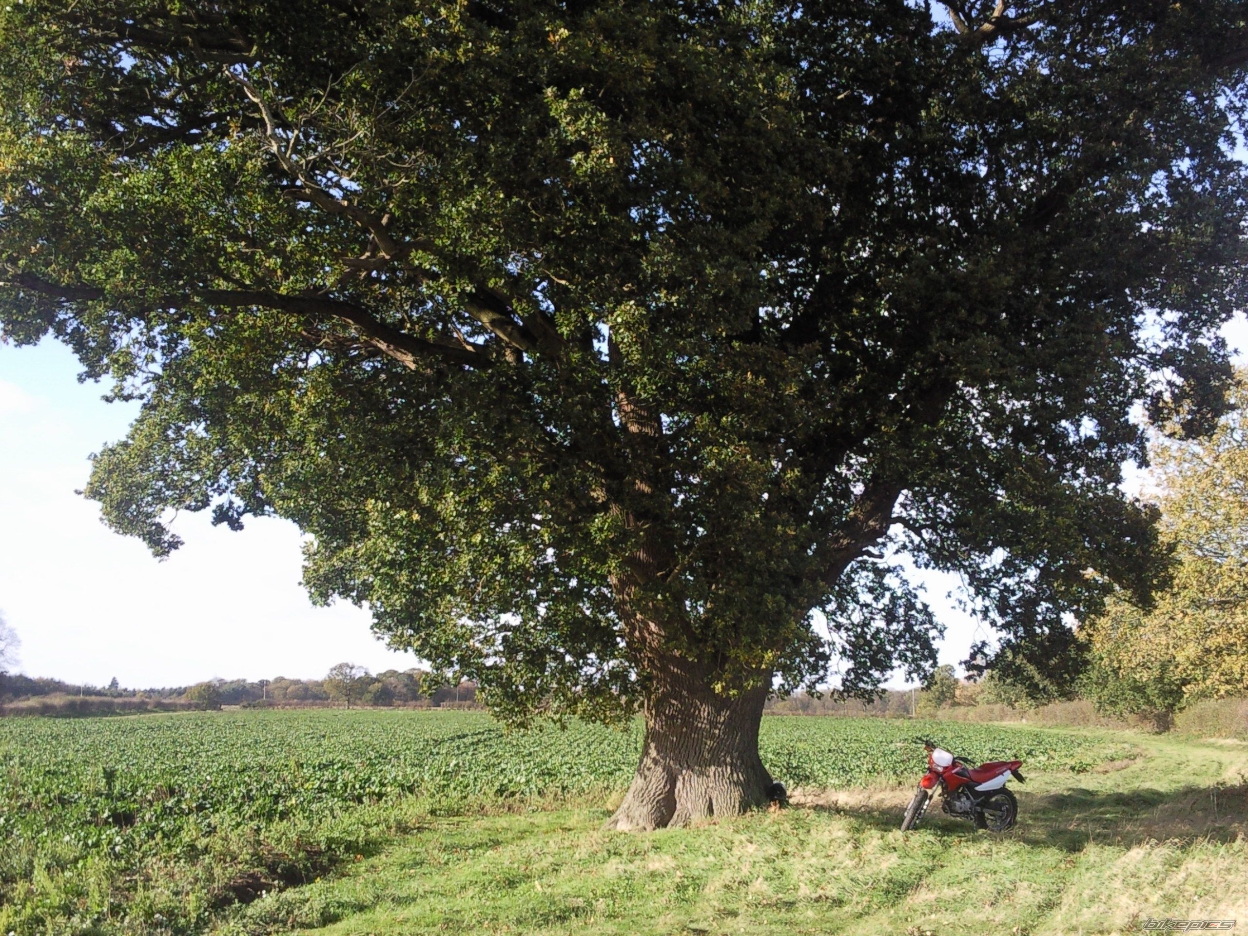 Photo 2096856