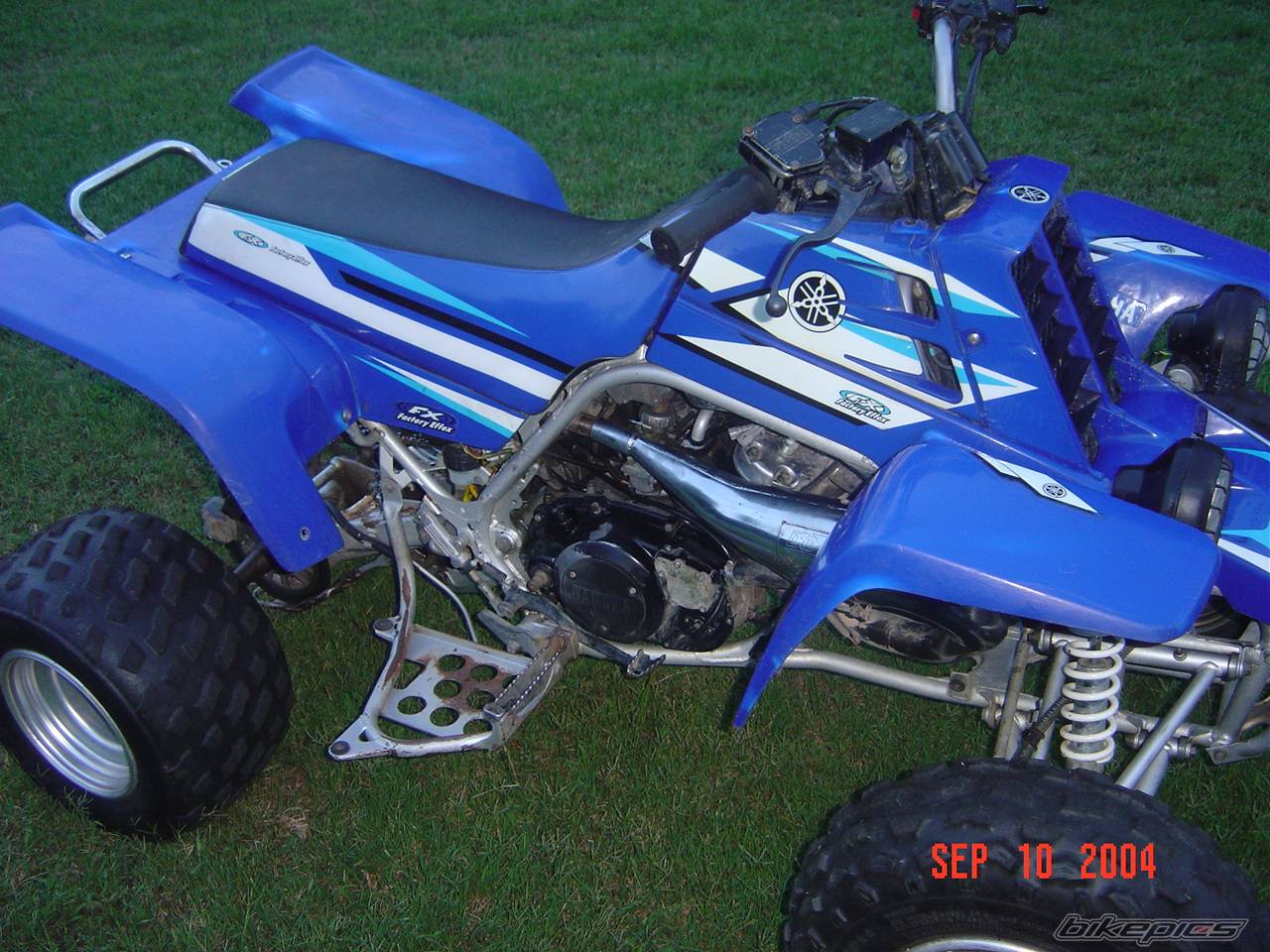 Photo 209689