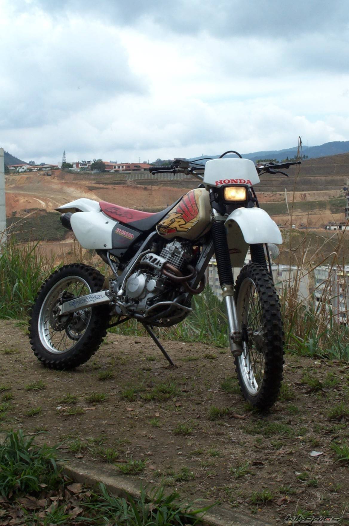 Photo 209691