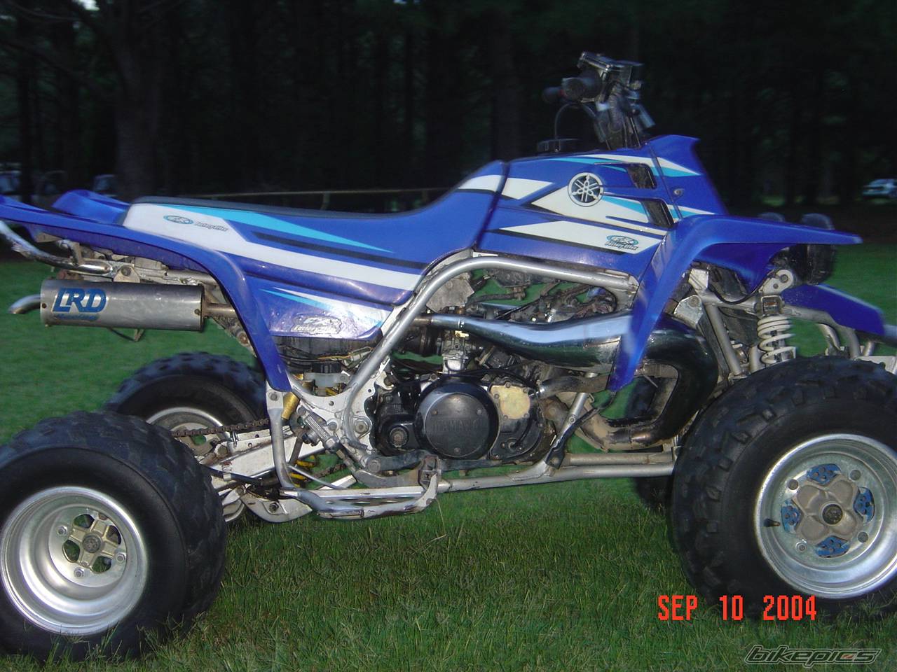 Photo 209693