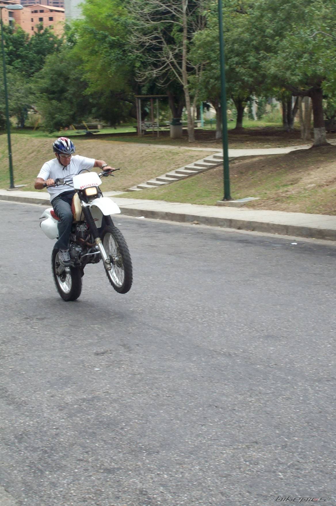 Photo 209696
