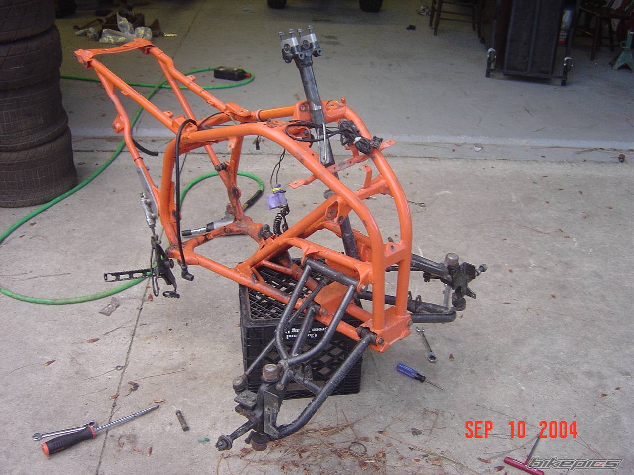 Photo 209703
