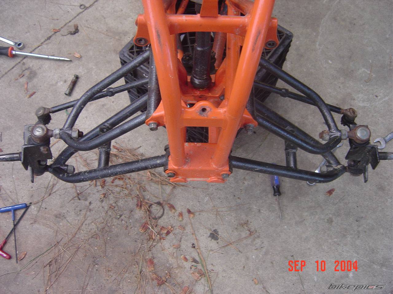 Photo 209704