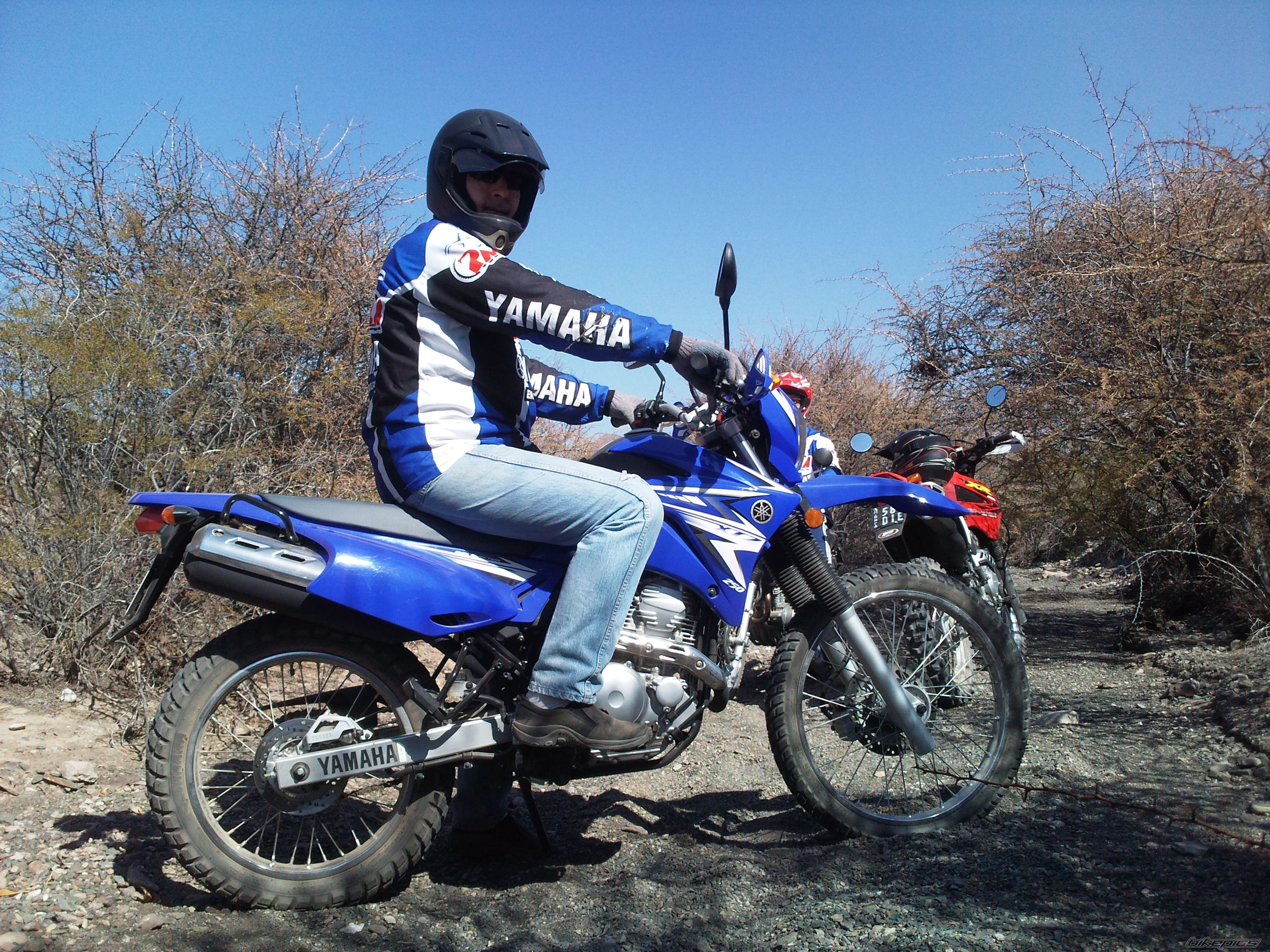 Photo 2097048