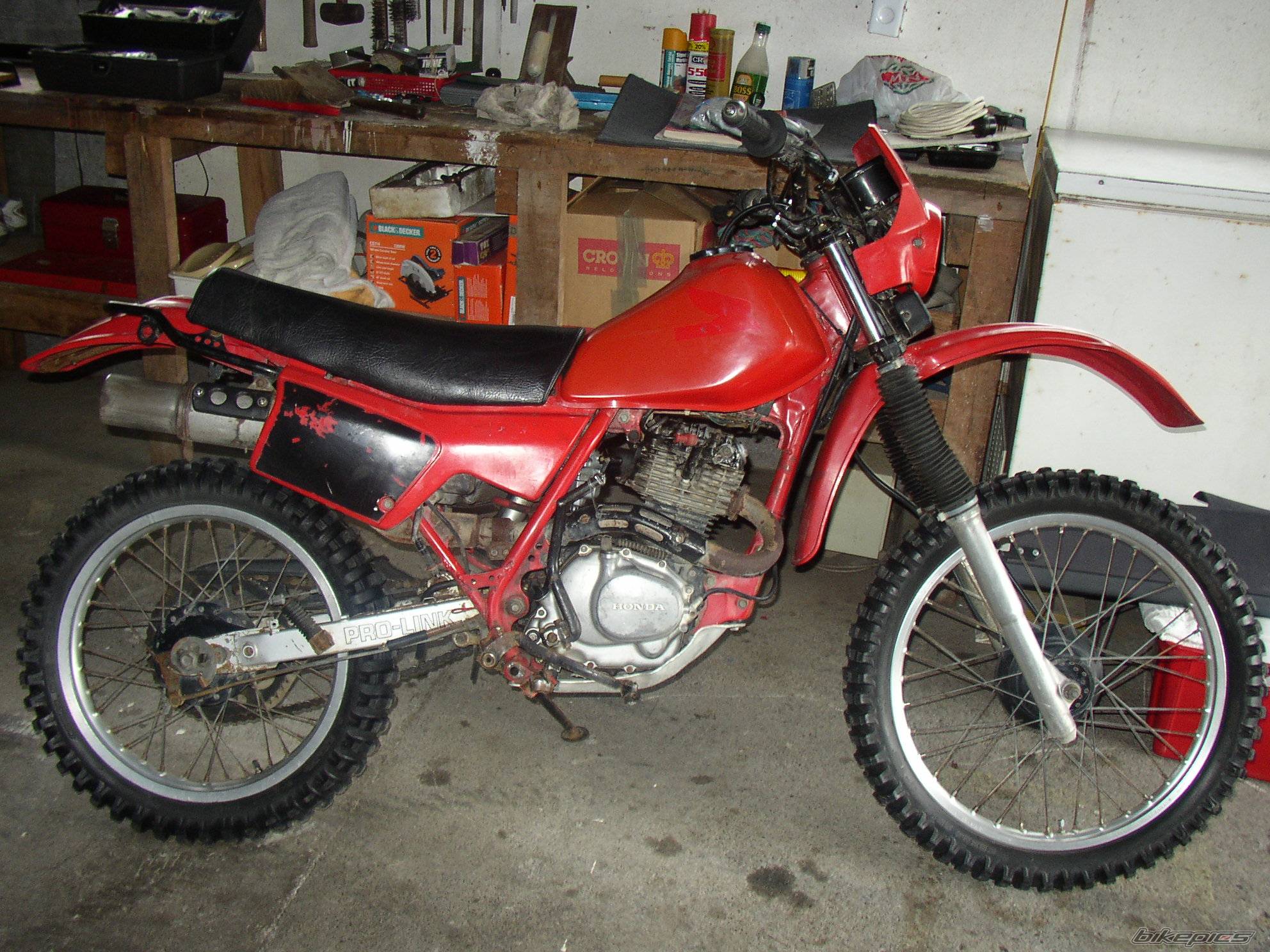 Photo 209728
