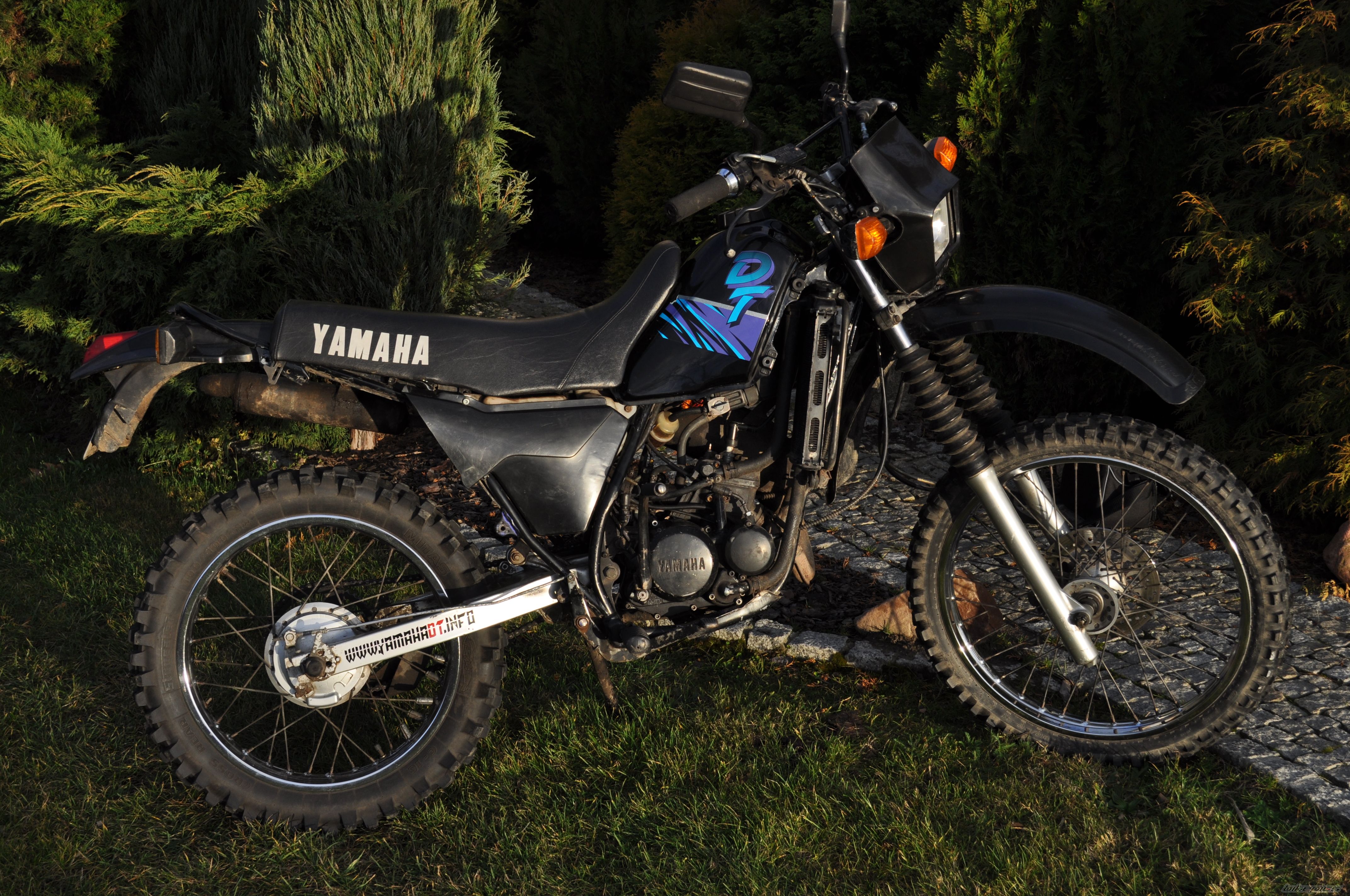 Photo 2097395