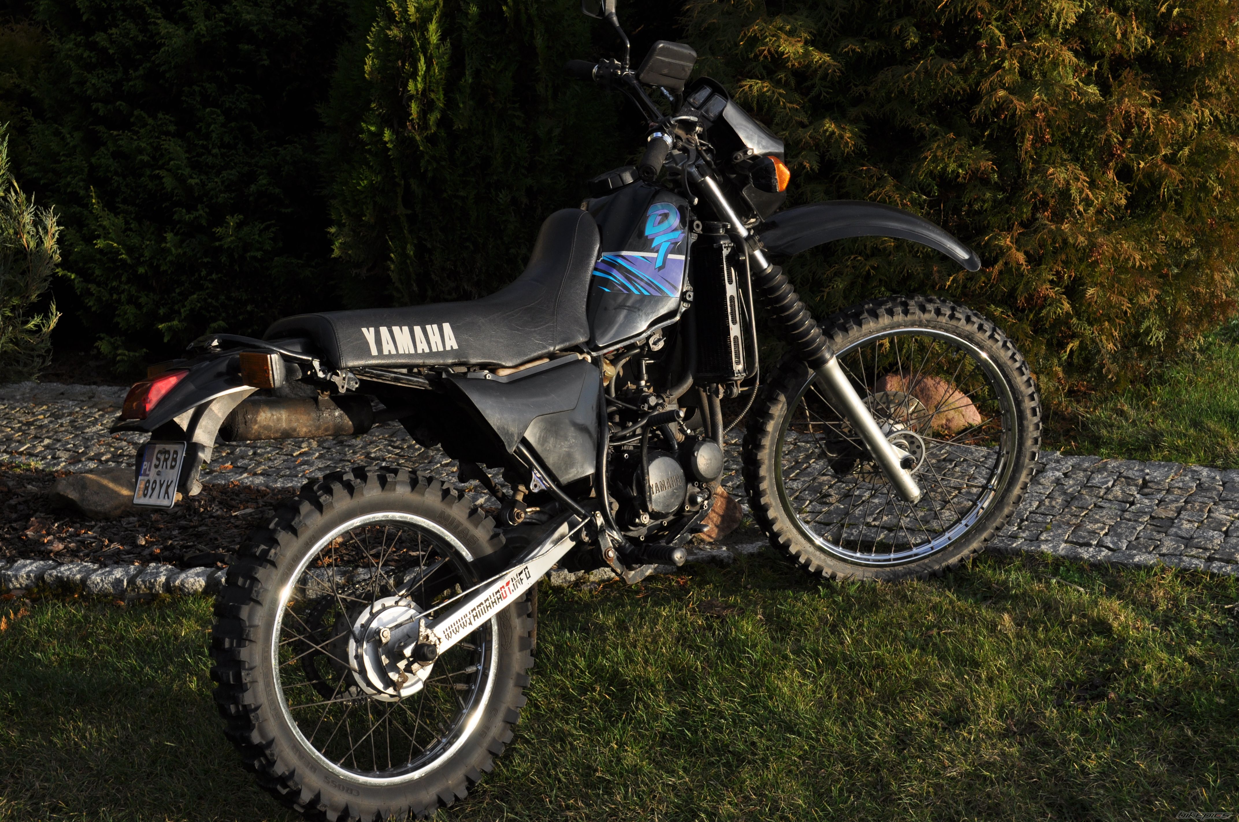 Photo 2097398