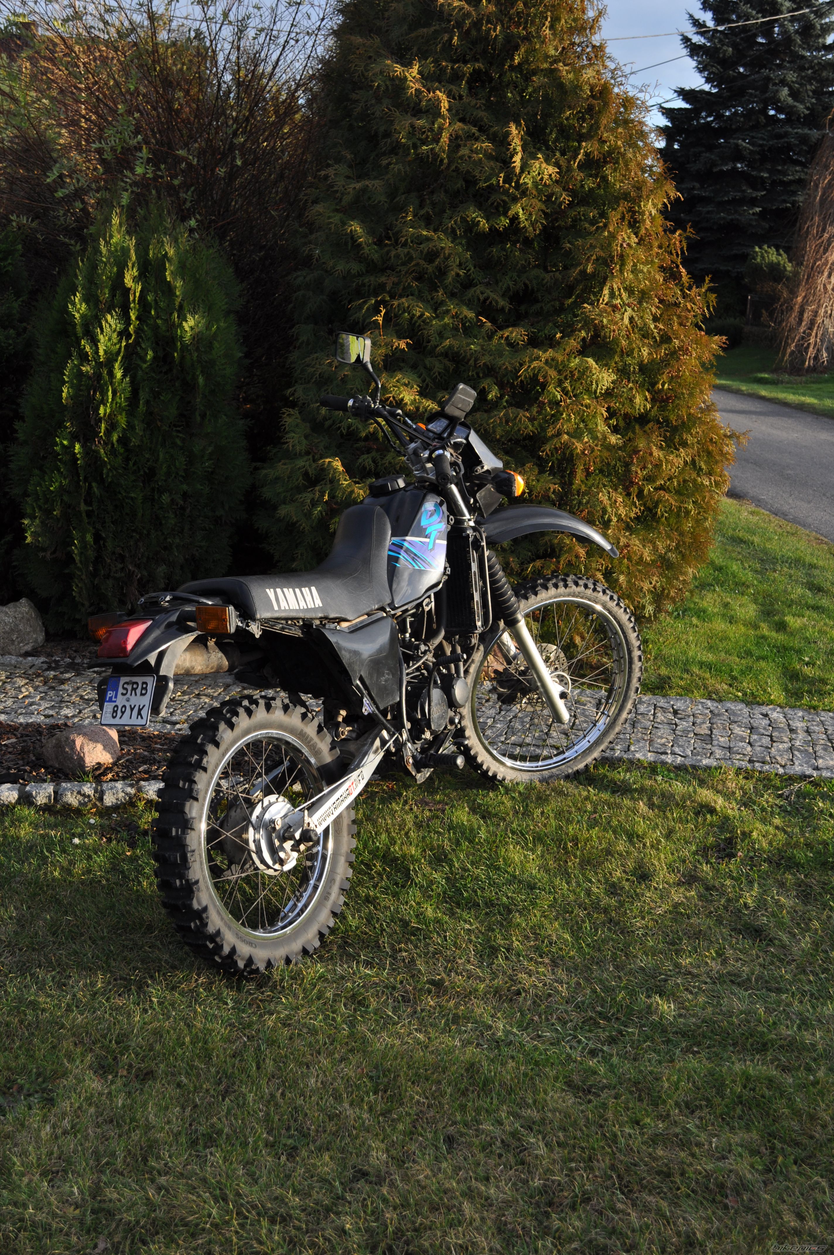 Photo 2097399