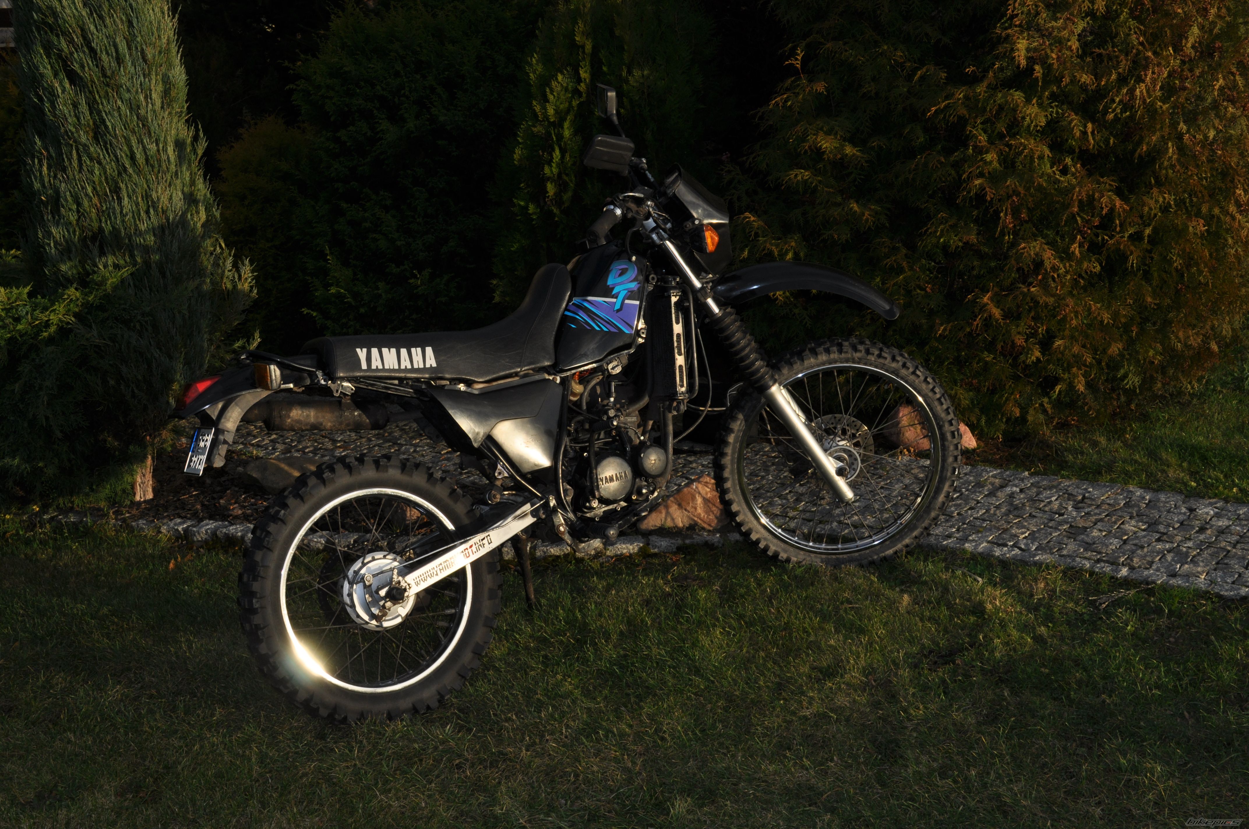 Photo 2097404