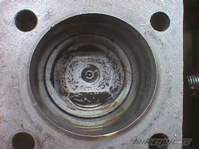 Photo 209751