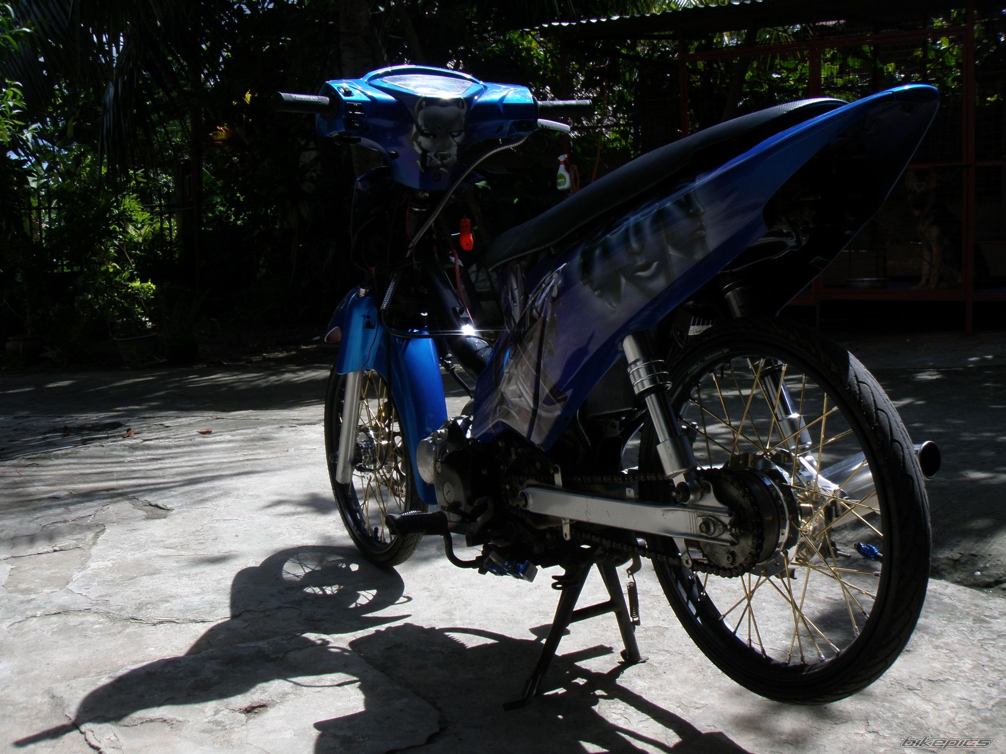 Photo 2097823
