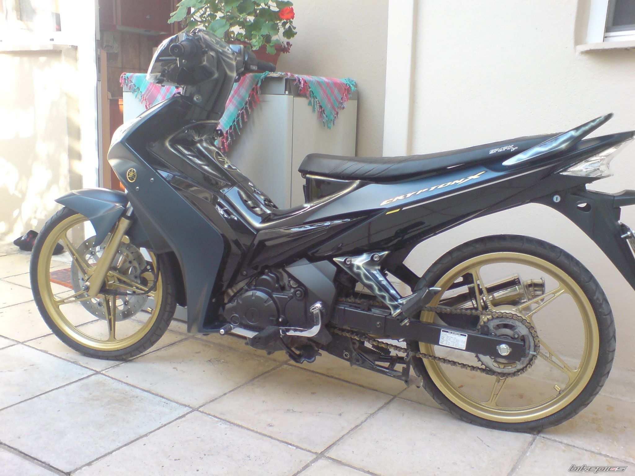 Photo 2098136