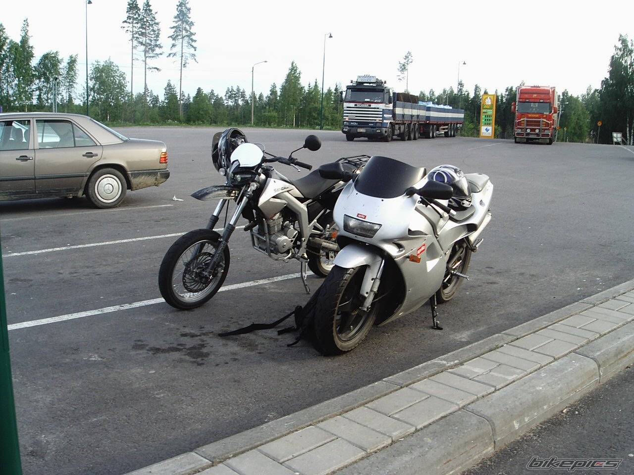 Photo 209820