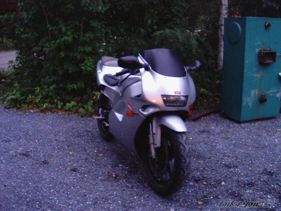 Photo 209824