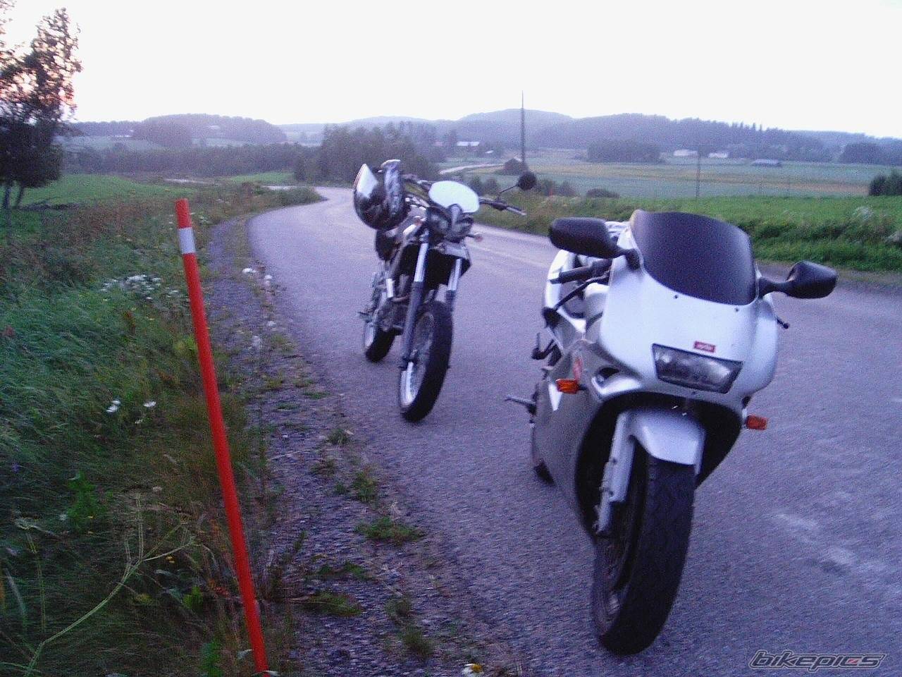 Photo 209832