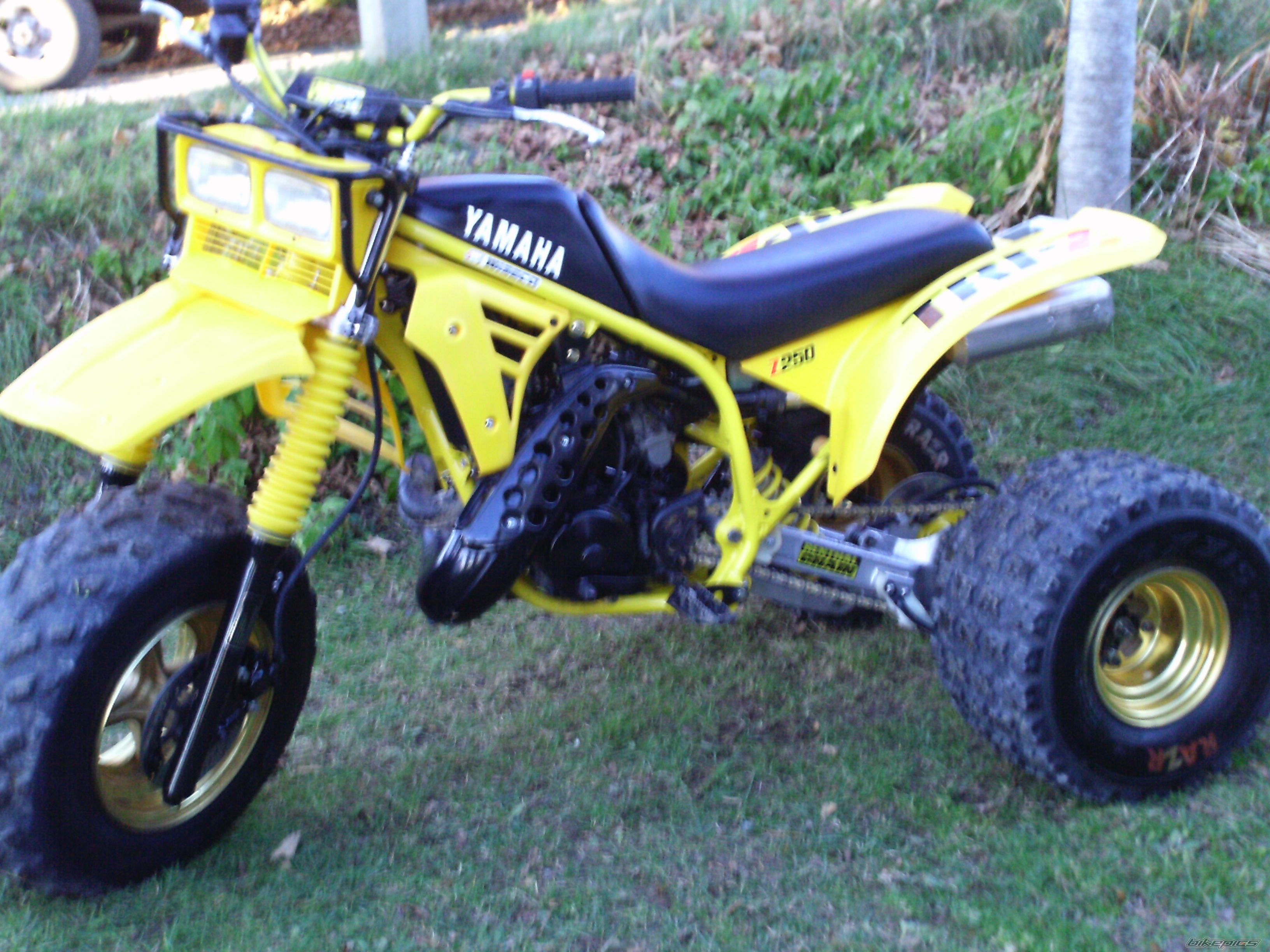 Photo 2098331