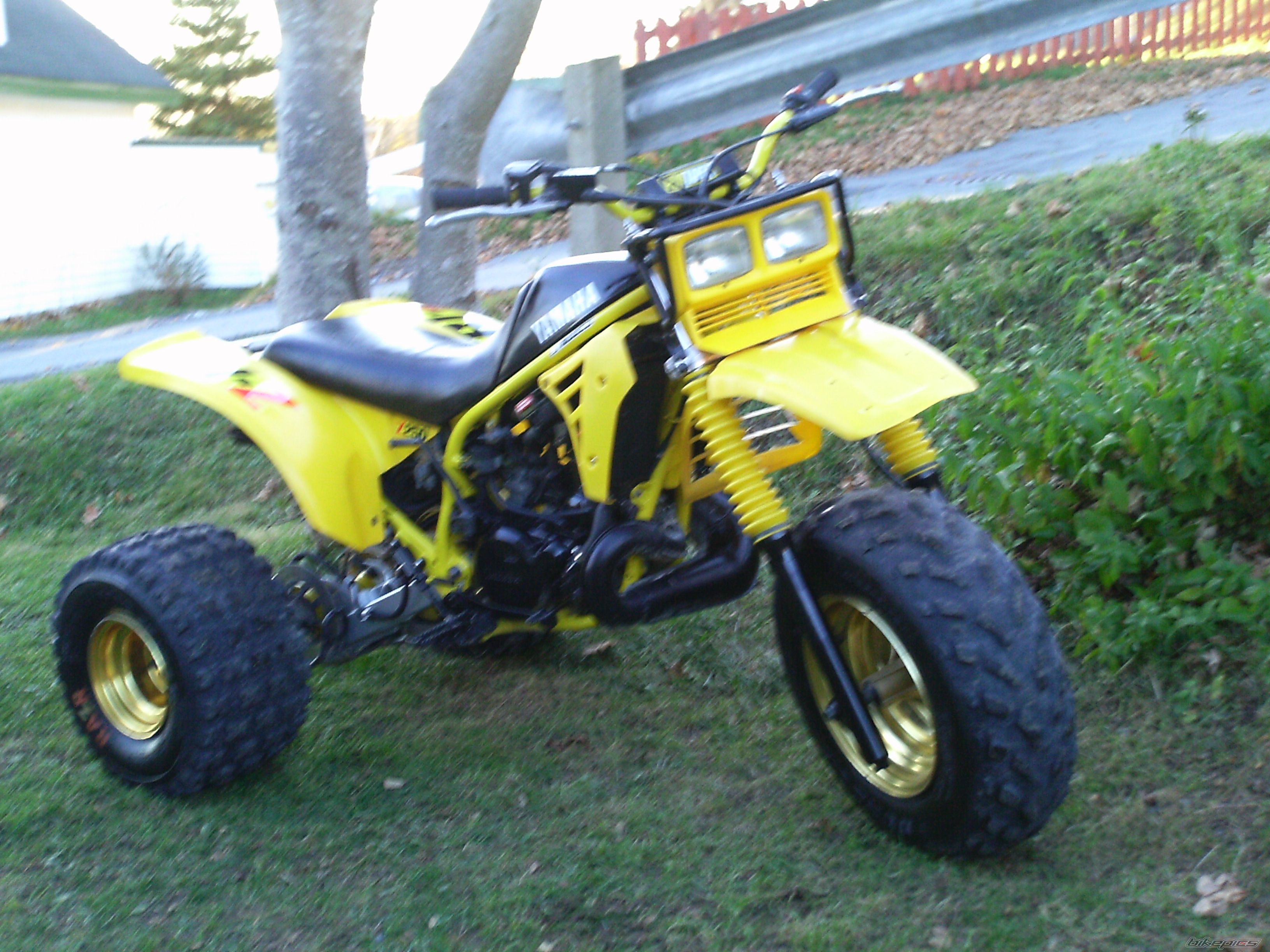 Photo 2098338
