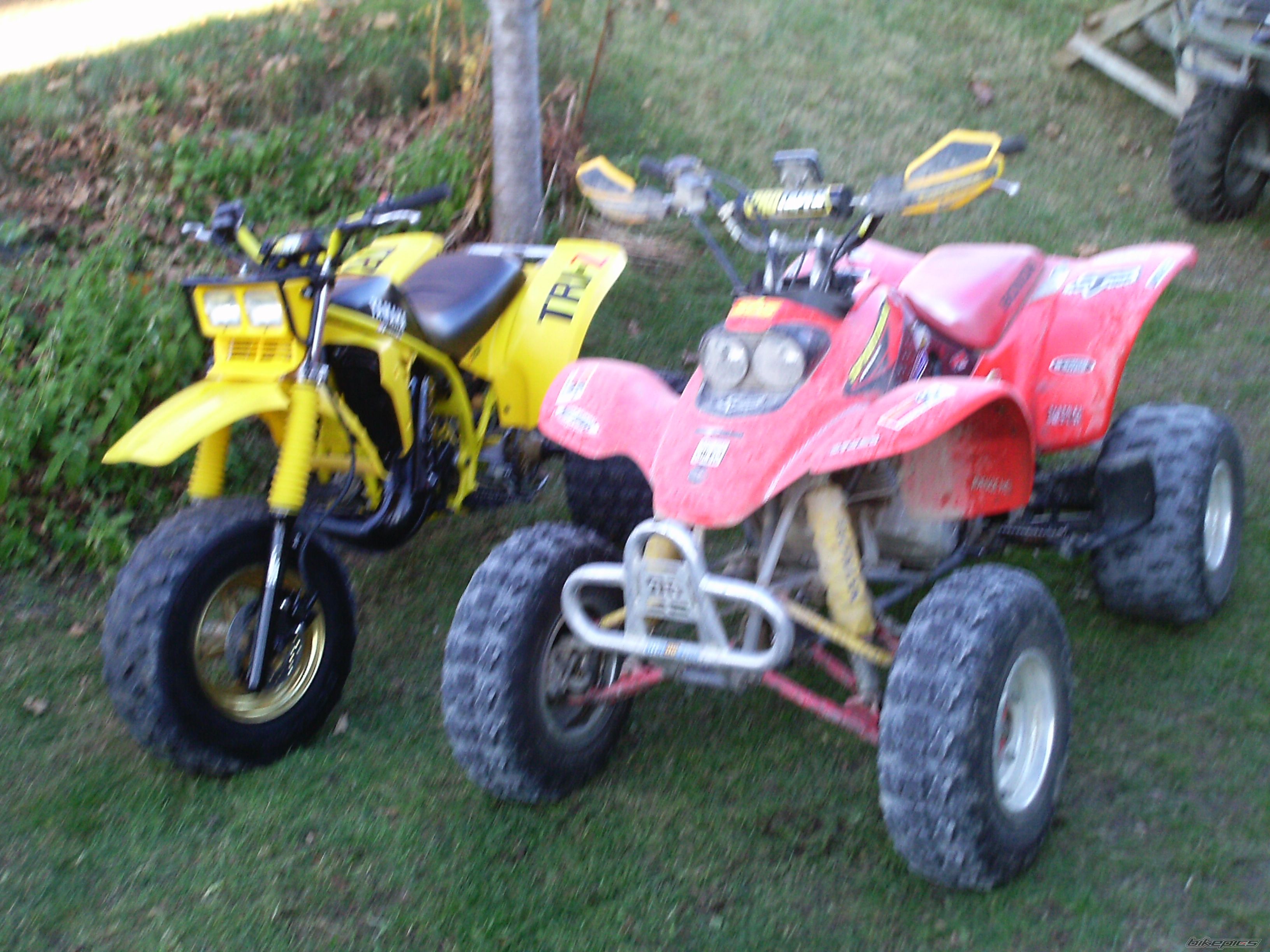 Photo 2098358