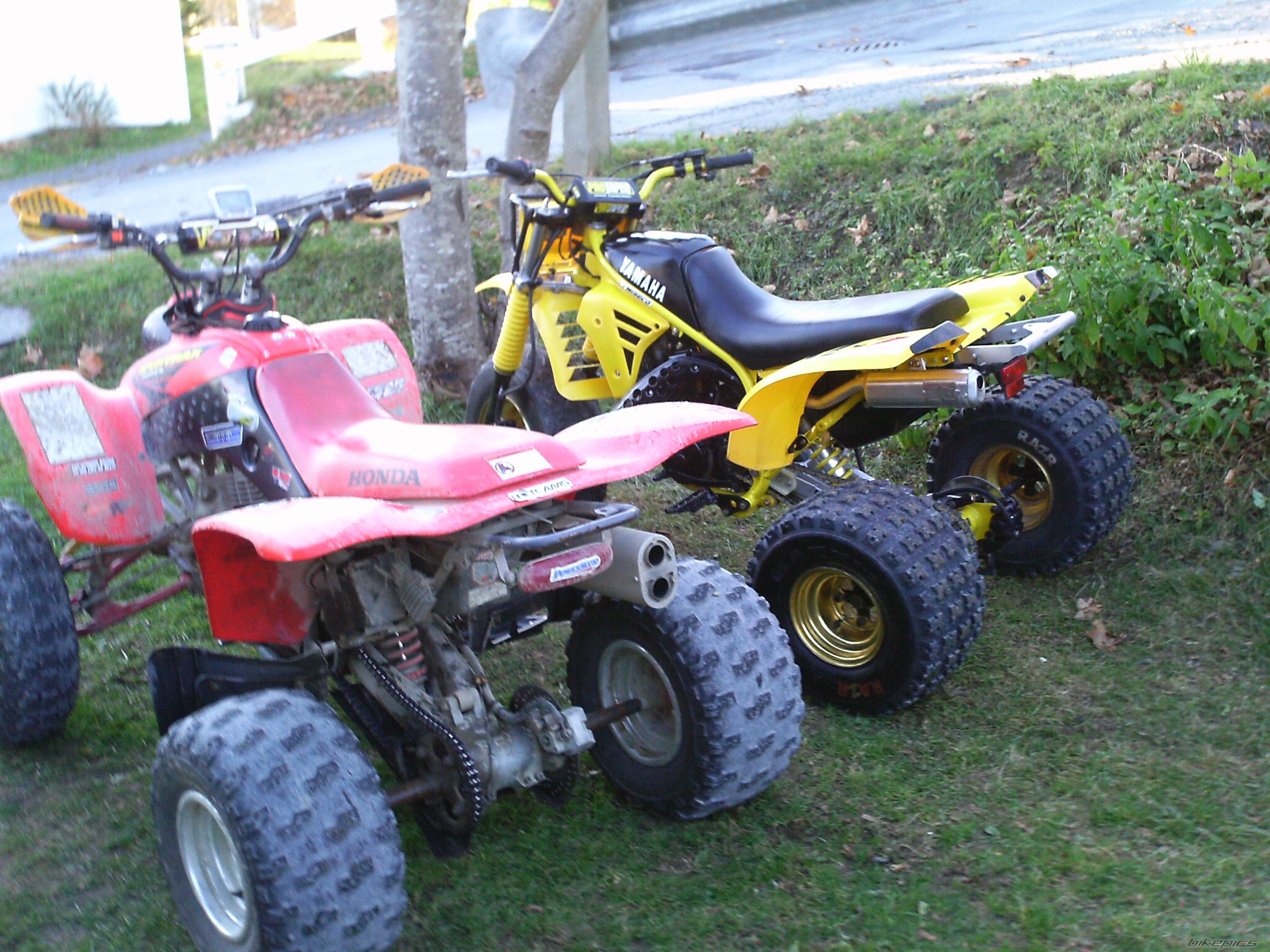 Photo 2098362