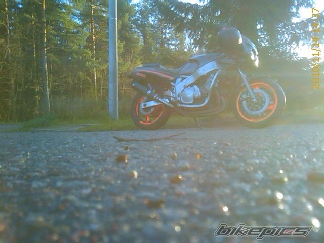 Photo 2098370