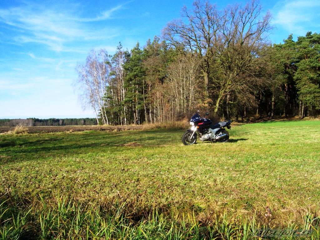 Photo 2098377
