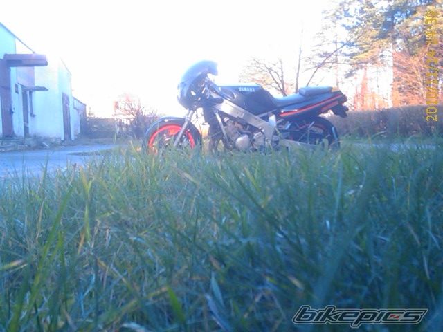 Bike Photo 2098382