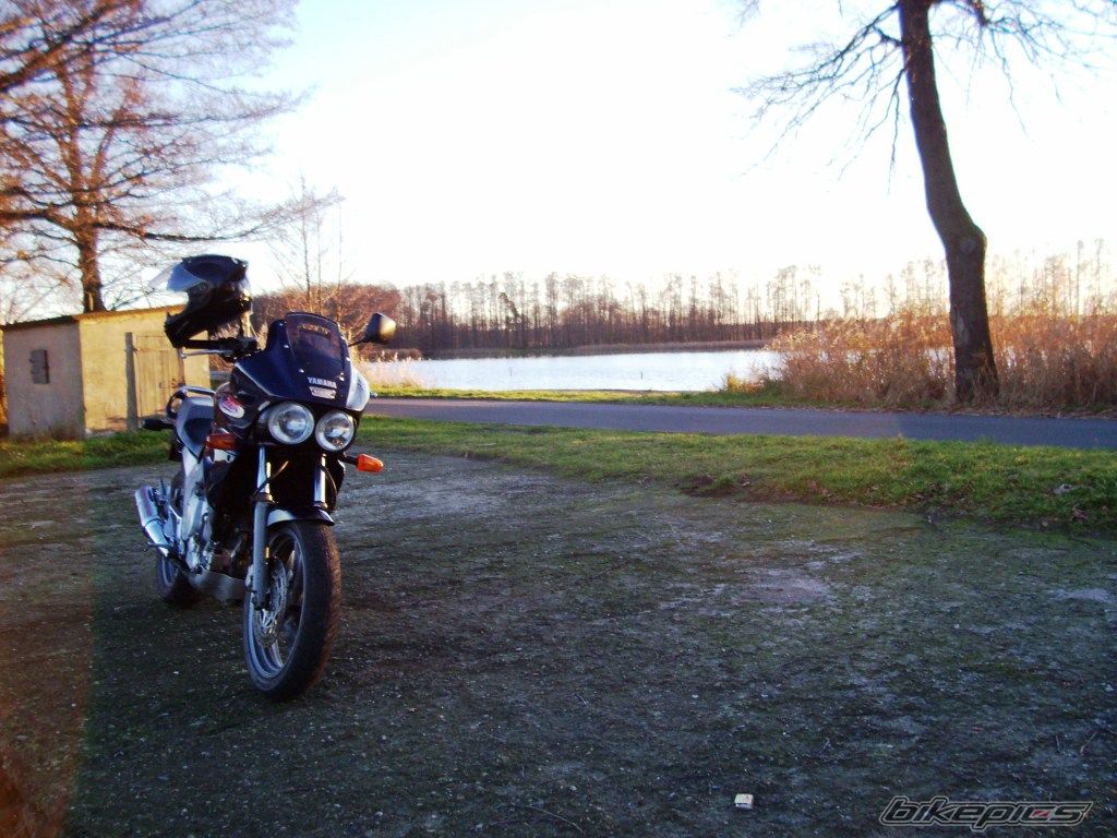 Photo 2098393