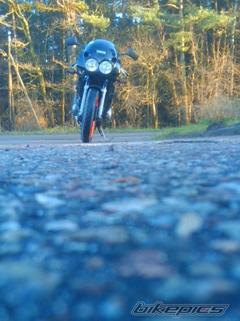 Photo 2098394