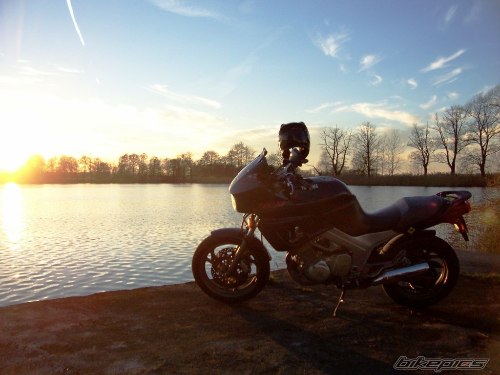 Photo 2098397