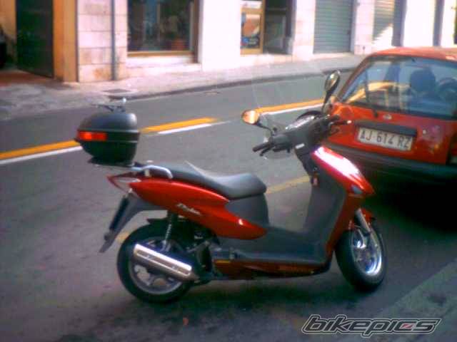 Photo 209841