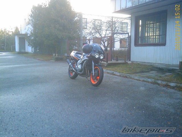 Photo 2098411