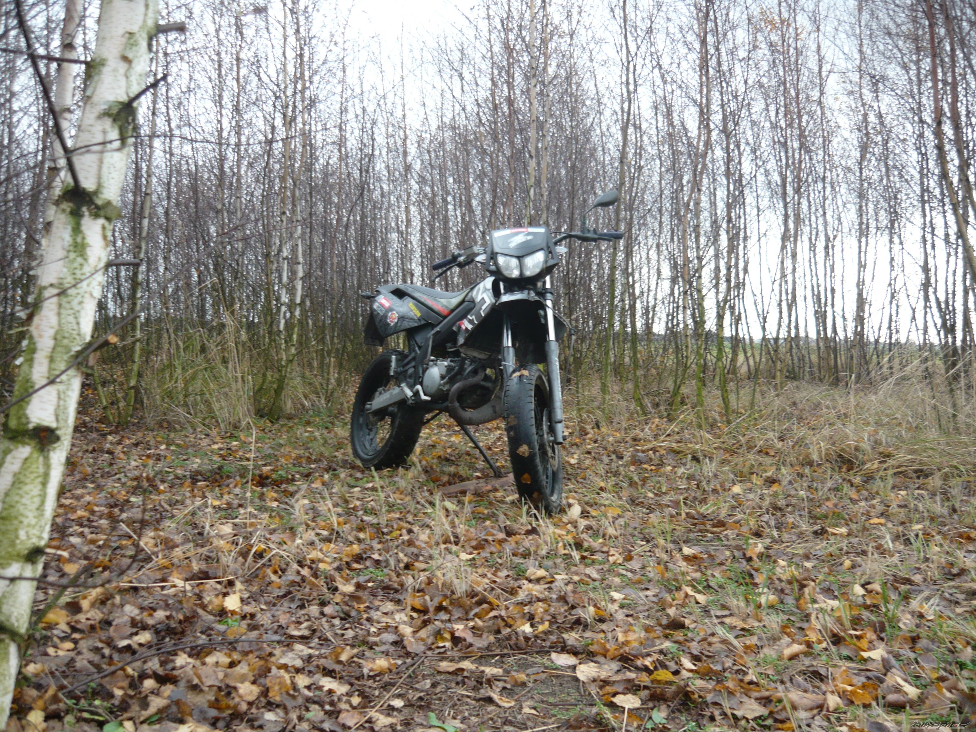 Photo 2098434