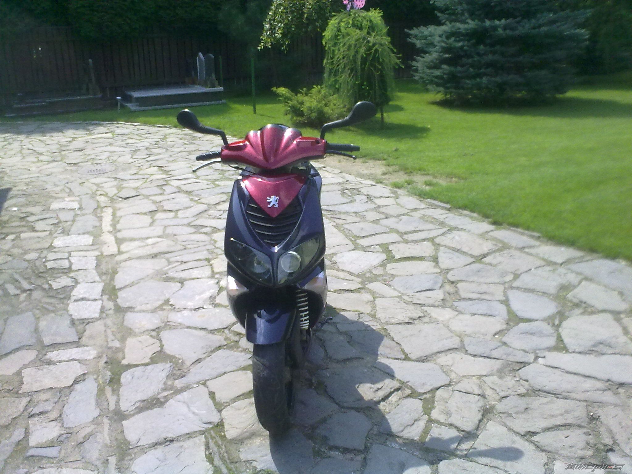 Photo 2098524