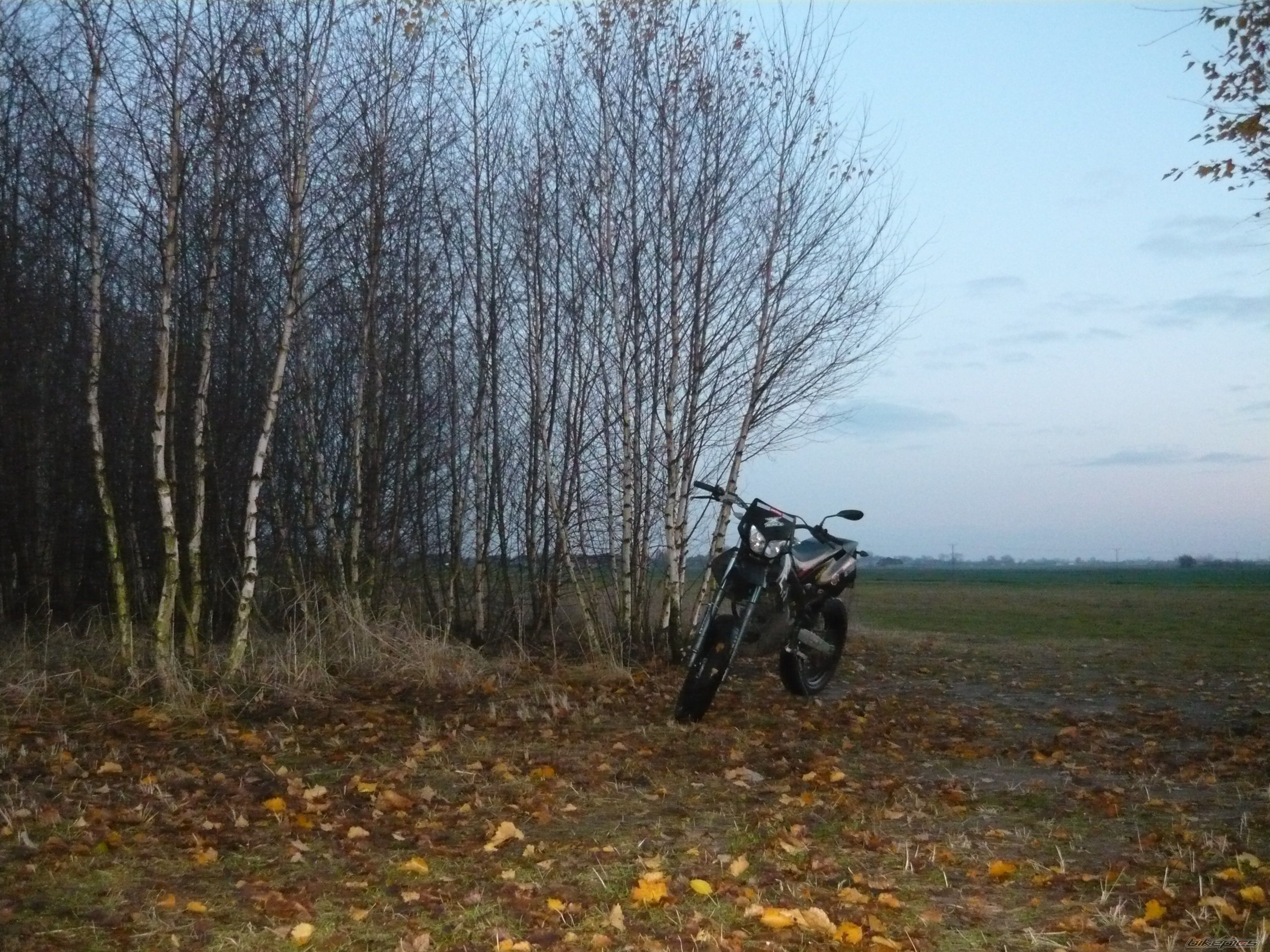 Photo 2098535