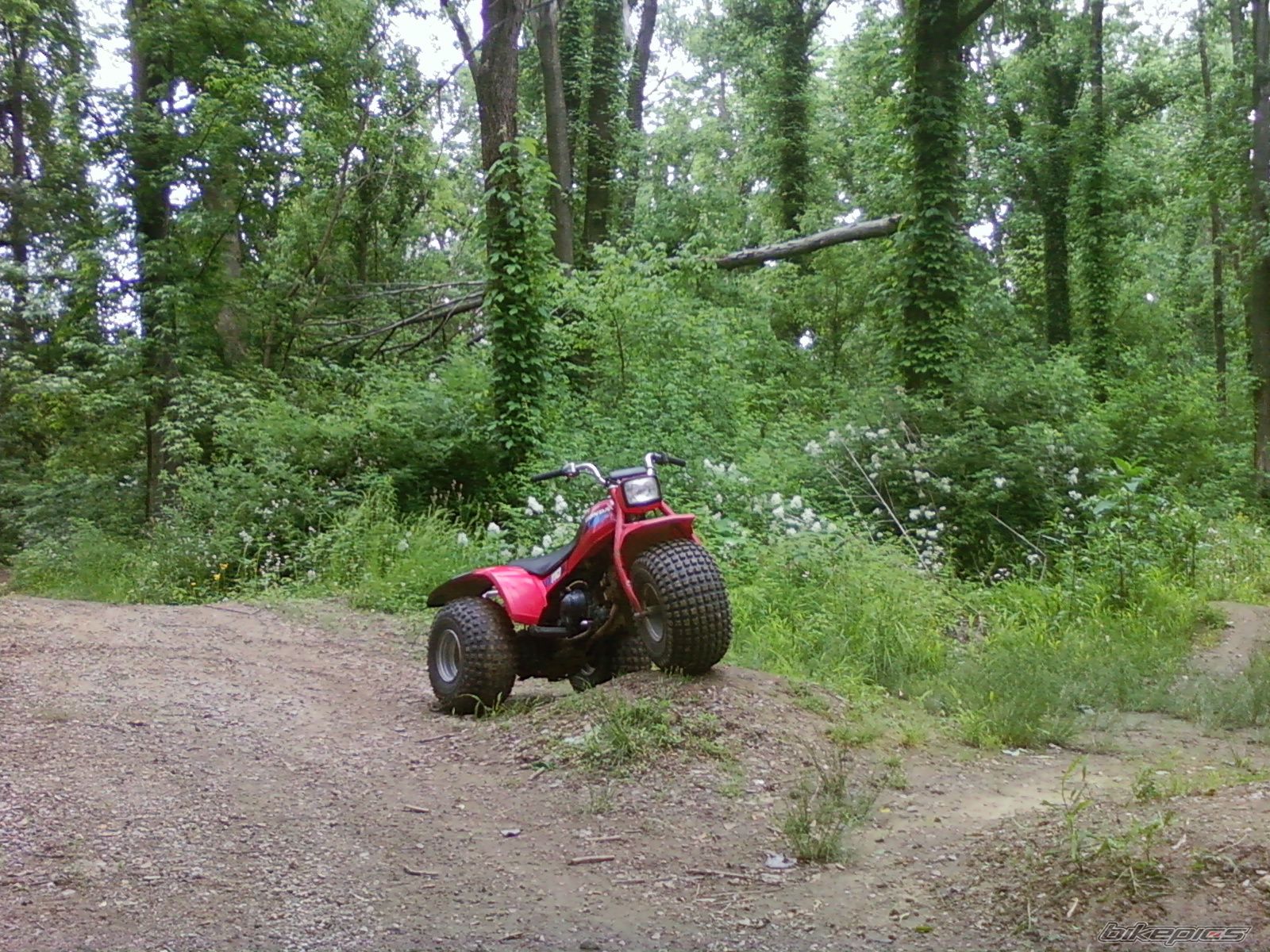 Photo 2098638