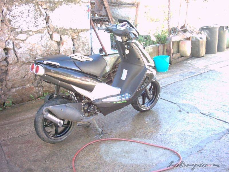 Photo 209865
