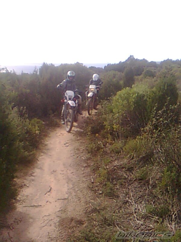 Bike Photo 2098675