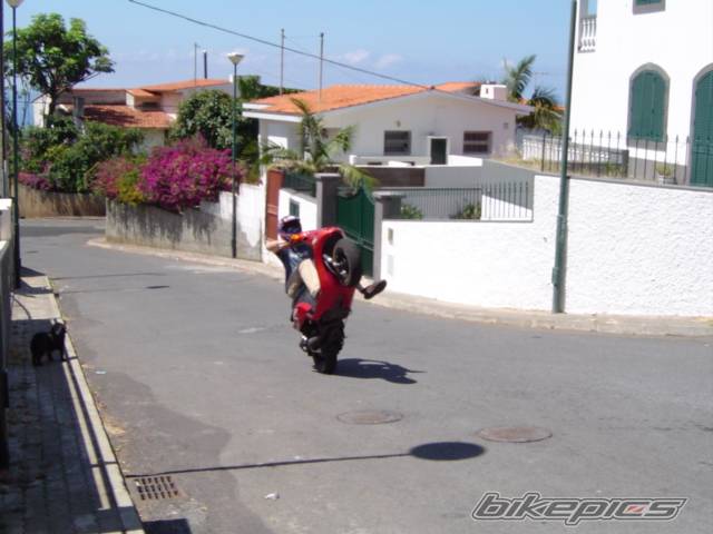 Photo 209872