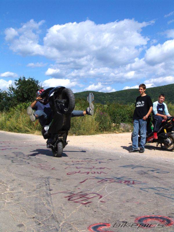 Photo 209873