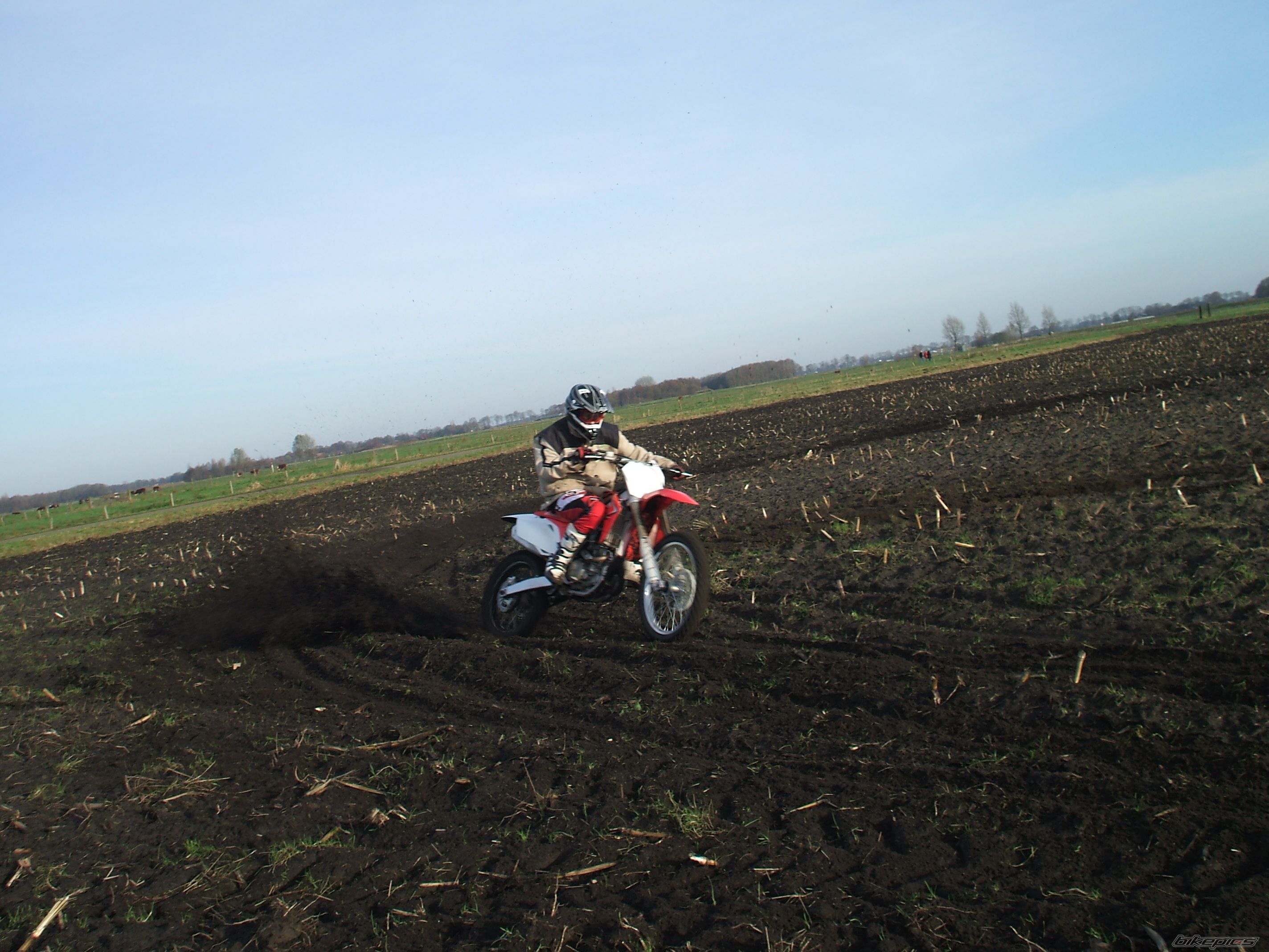 Photo 2098776