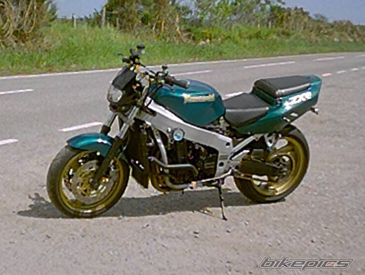 Photo 209878