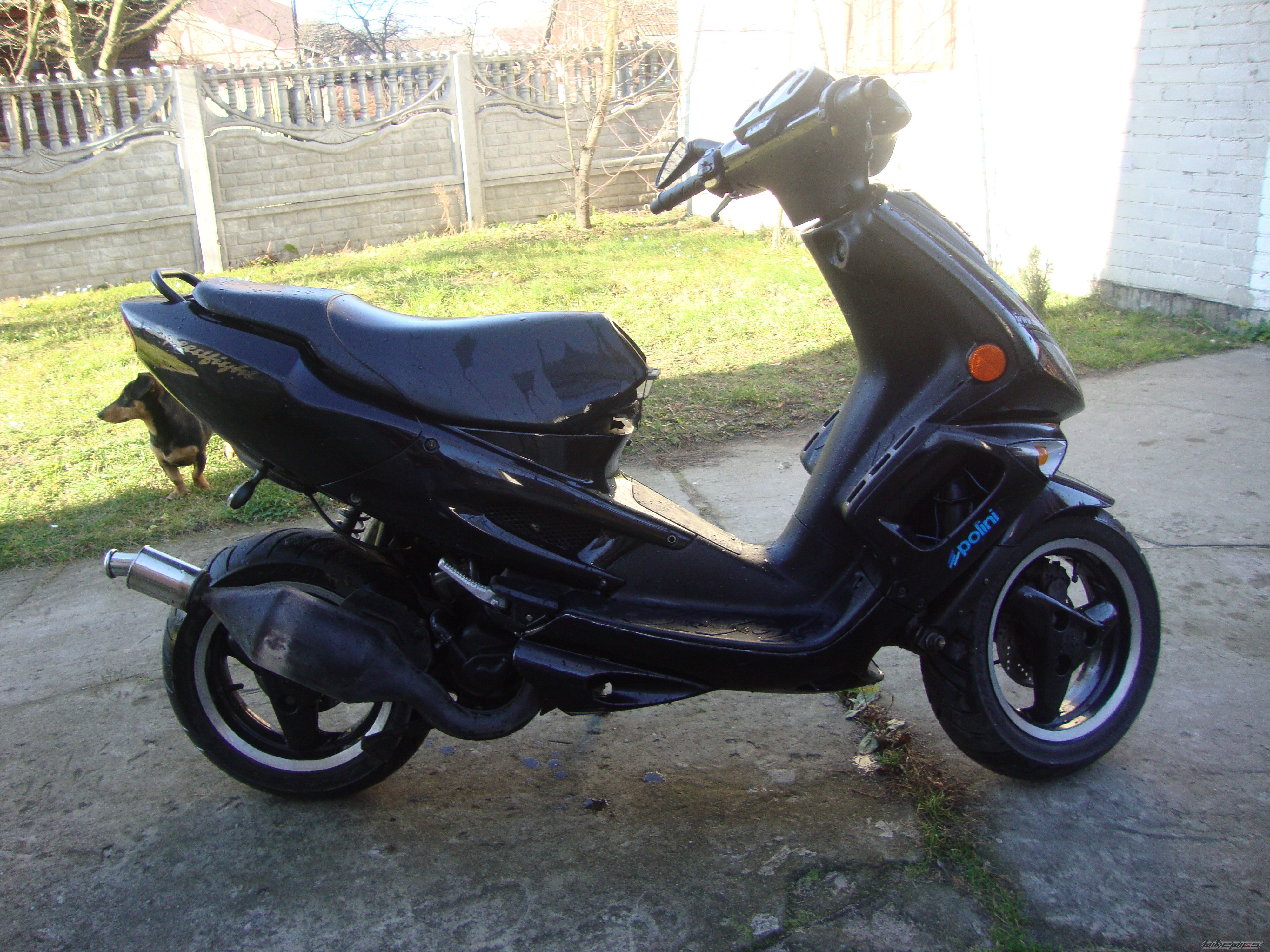 Photo 2098788