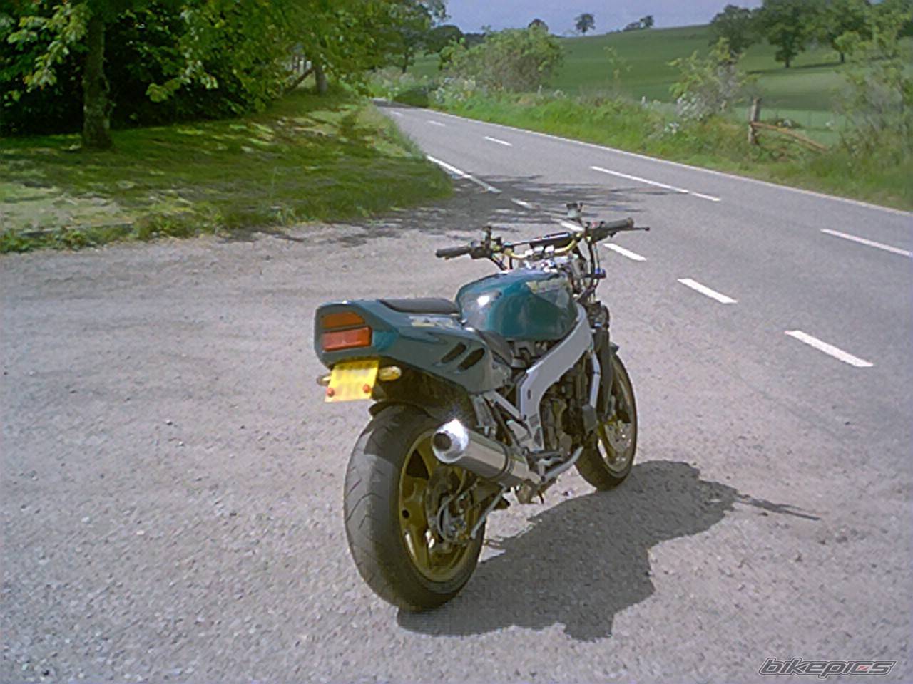Photo 209879