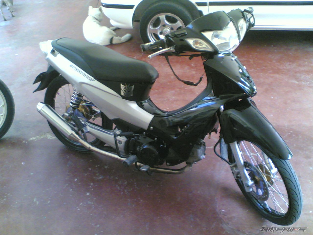 Photo 2098790