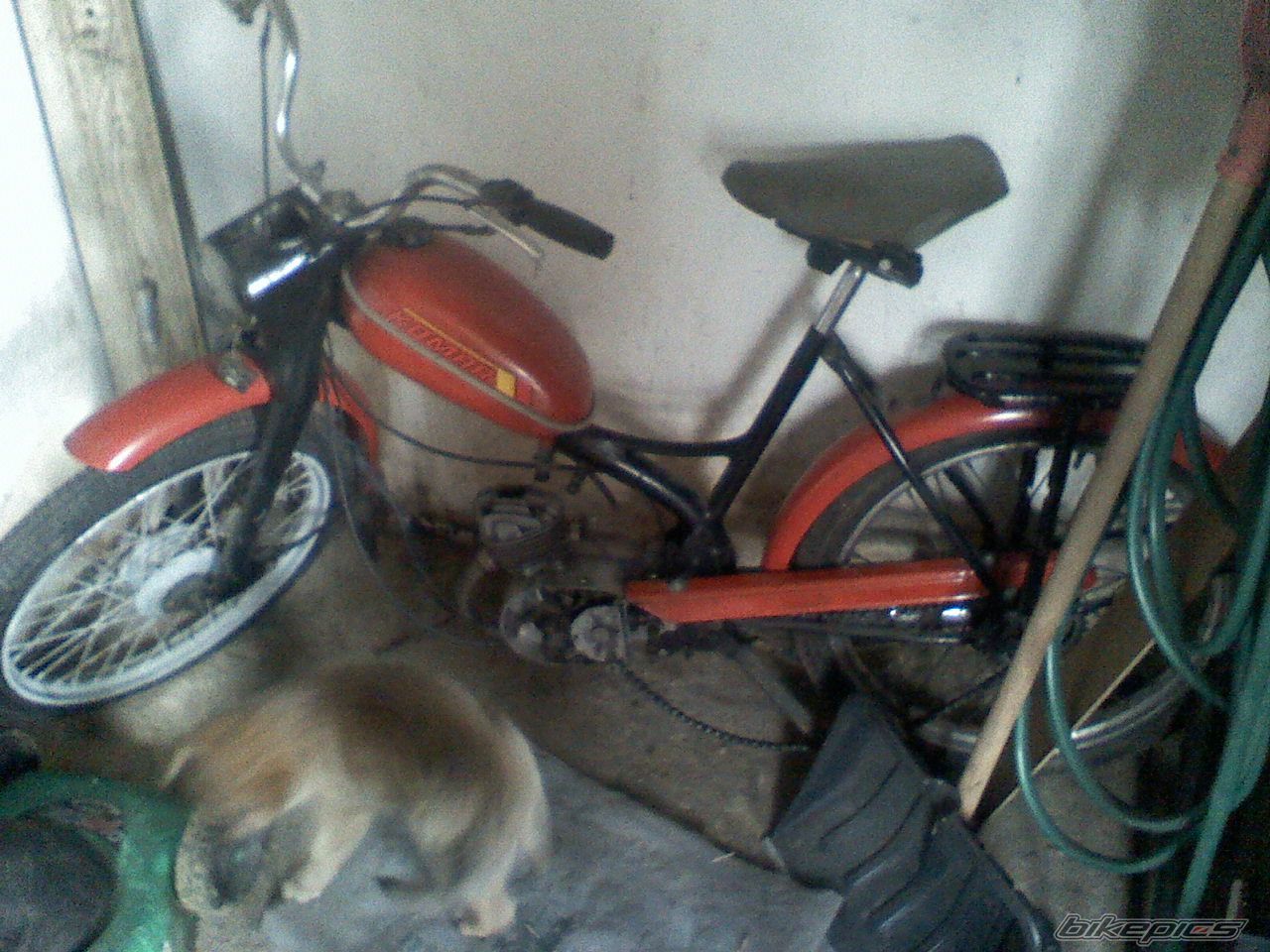 Photo 2098958