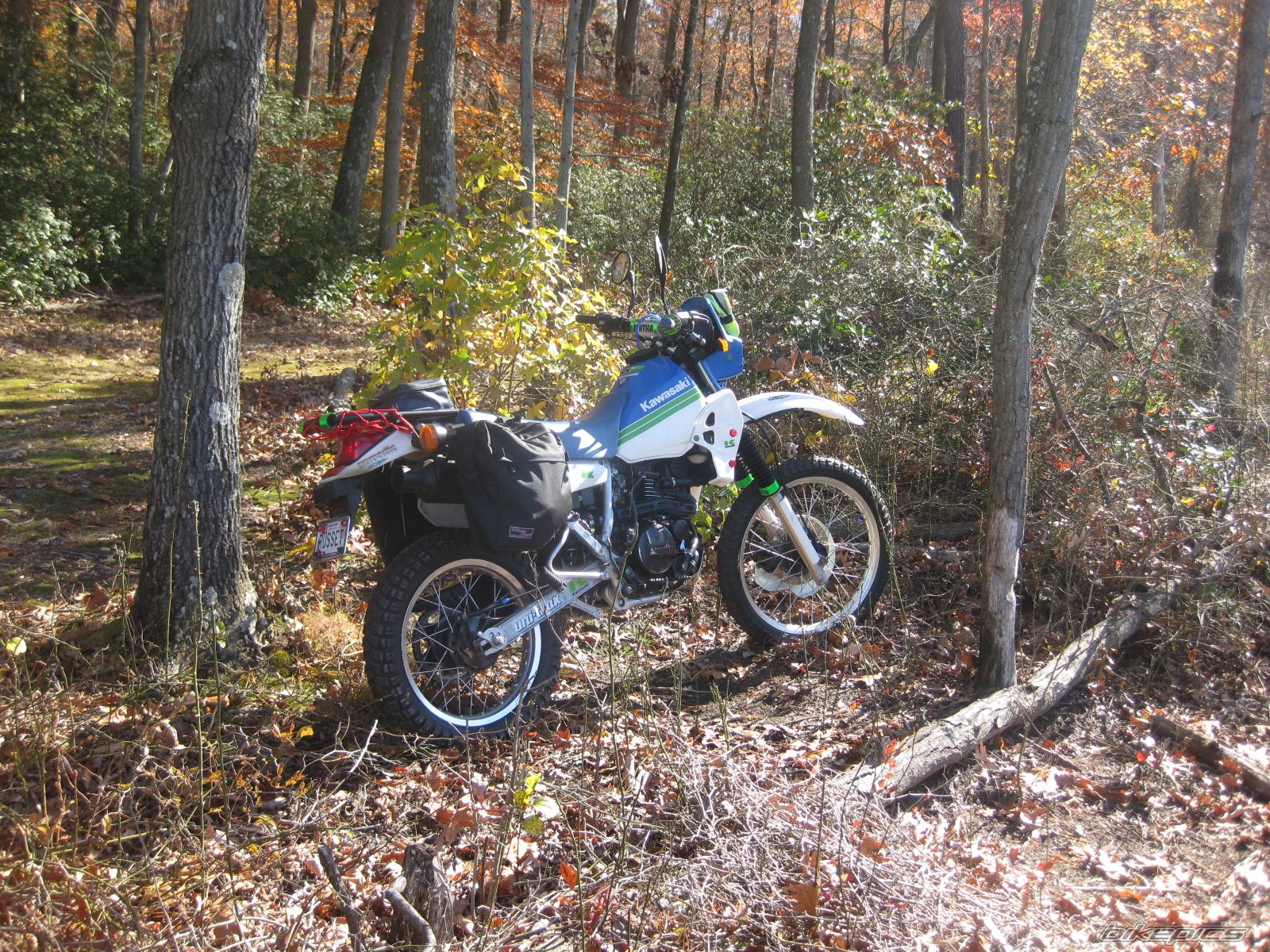 Photo 2098995