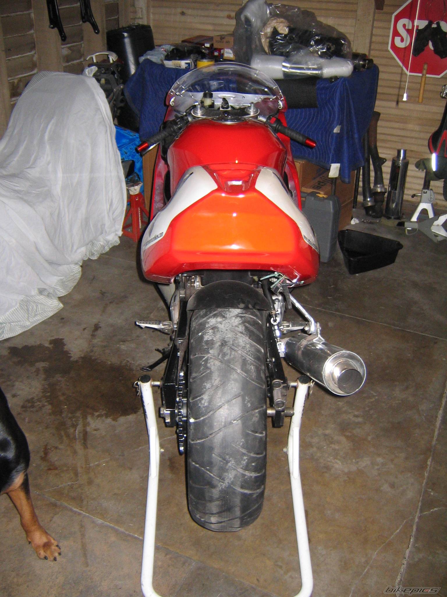 Photo 209904