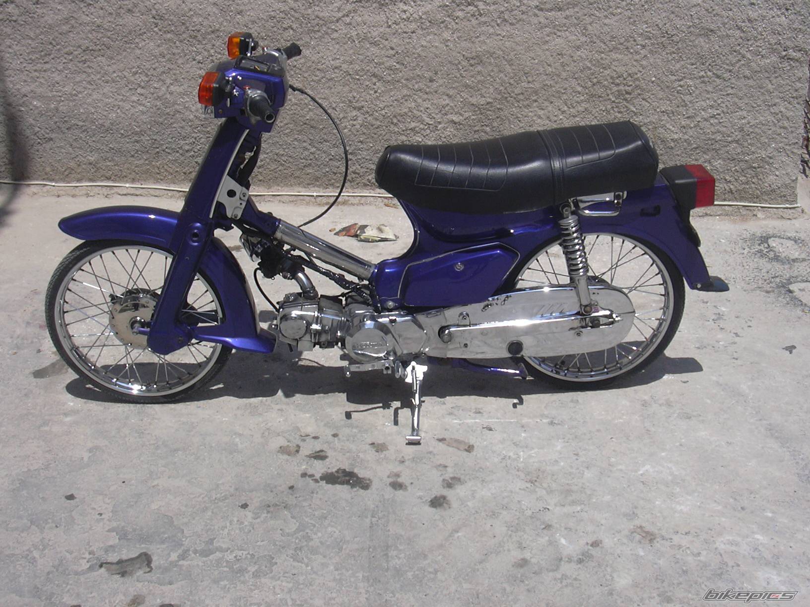 Photo 209907