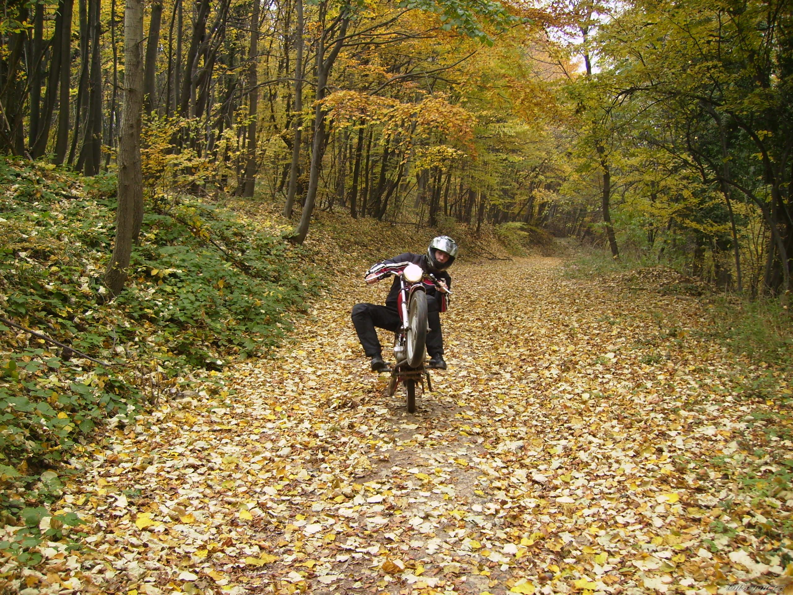 Photo 2099253